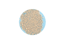 Moleculas sieve Raw material 